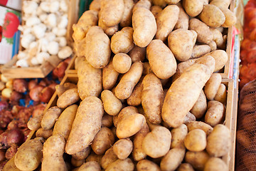 Image showing Brown Skin Potatoes Piled in Crates at Food Market