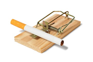 Image showing Mousetrap with cigarette