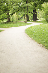Image showing walk through a green park
