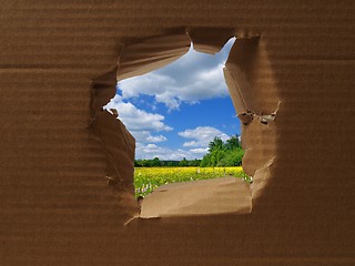 Image showing Hole in cardboard