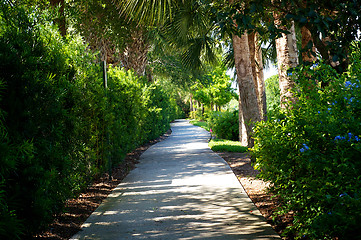 Image showing tree lined manicured bike path