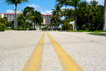 Image showing ground level view of road in florida