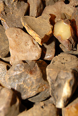 Image showing amber stones