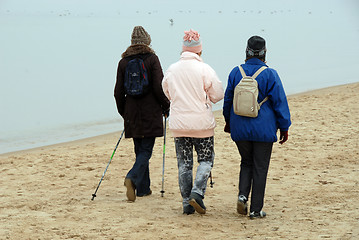 Image showing nordic walking