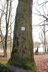 Image showing trail sign