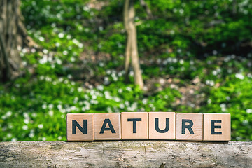 Image showing Nature sign in a green forest