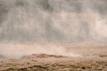 Image showing Misty field with a mystic fog