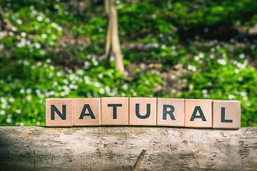 Image showing Sign with the word natural