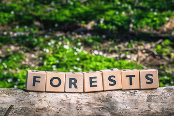 Image showing Forest sign made of wooden cubes