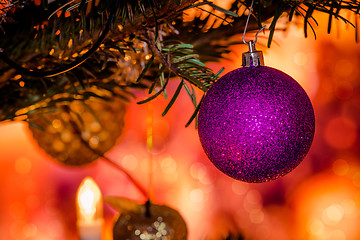 Image showing Purple Xmas bauble on a Christmas tree