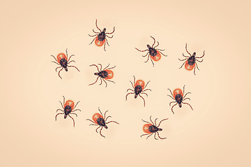Image showing Many ticks on a yellow background