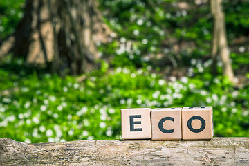 Image showing Eco sign on a wooden branch