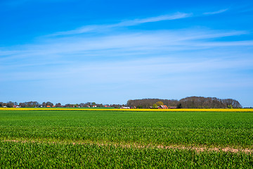 Image showing Landscape with green and yellow fields