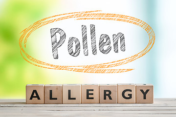 Image showing Pollen allergy headline with a wooden sign