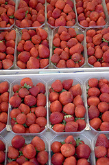 Image showing strawberries