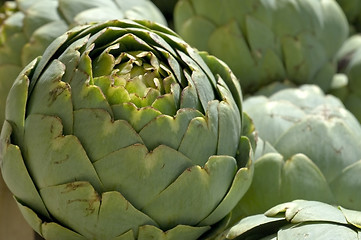 Image showing artichoke