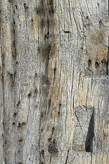Image showing Ancient timber beam