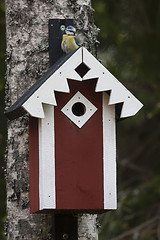 Image showing bird house