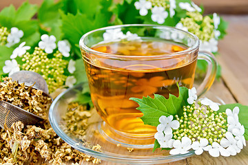 Image showing Tea viburnum flowers in glass cup on wooden board