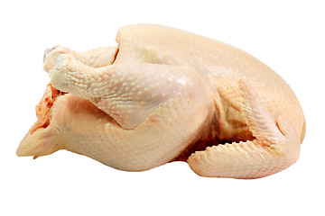Image showing Raw Broiler