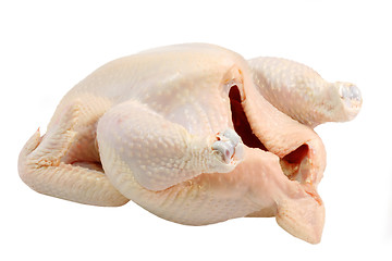 Image showing Raw Chicken