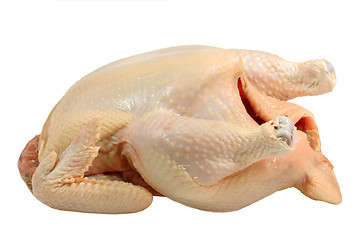 Image showing  Raw poultry