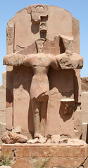 Image showing Luxor temple