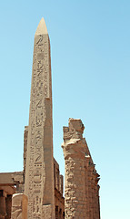 Image showing Luxor temple