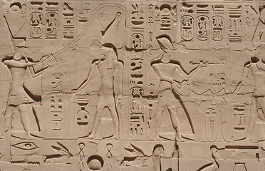 Image showing Luxor temple Hieroglyphic