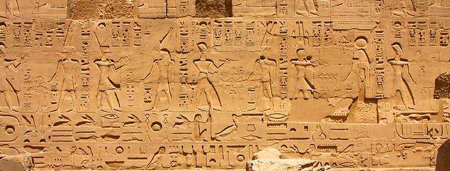 Image showing Luxor temple Hieroglyphic