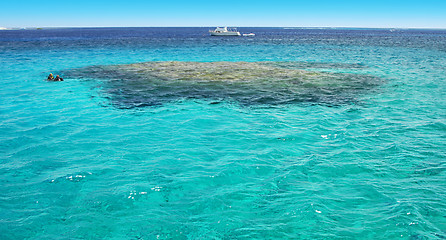 Image showing turquoise water riff scuba diving