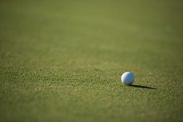 Image showing golf ball on grass