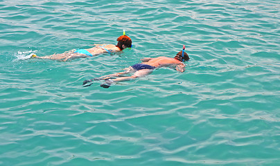 Image showing snorkelling