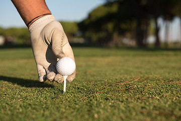 Image showing close up of golf players hand placing ball on tee