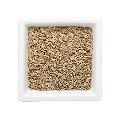 Image showing Fennel seeds