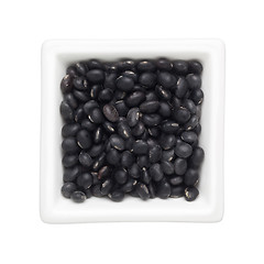 Image showing Black turtle bean