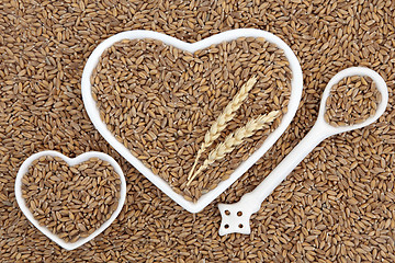 Image showing Spelt Wheat Grain