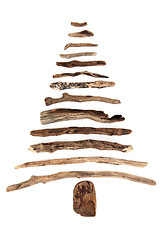 Image showing Abstract Driftwood Tree