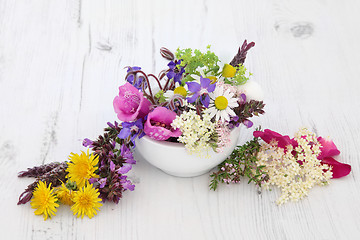 Image showing Herbal Medicine