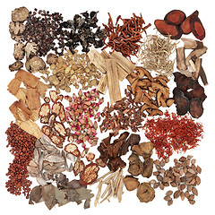 Image showing Chinese Herbs