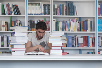 Image showing student study  in school library