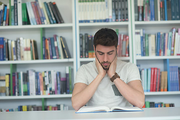 Image showing student study  in school library