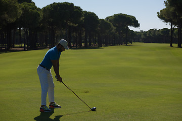 Image showing golf player hitting shot