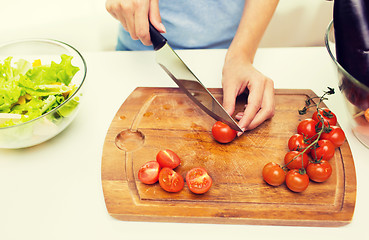 Image showing close up of woman chopping tomatoes with knife