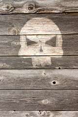Image showing bone head on wooden background