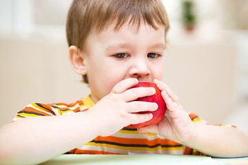 Image showing Little boy is eating apple