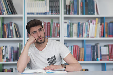 Image showing student study  in school library