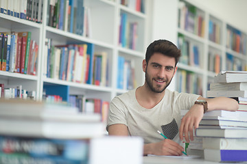 Image showing student study  in school library