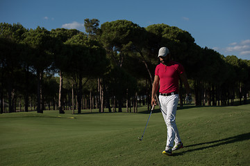 Image showing golf player walking and carrying driver