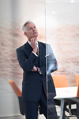 Image showing portrait of handsome senior business man at modern office